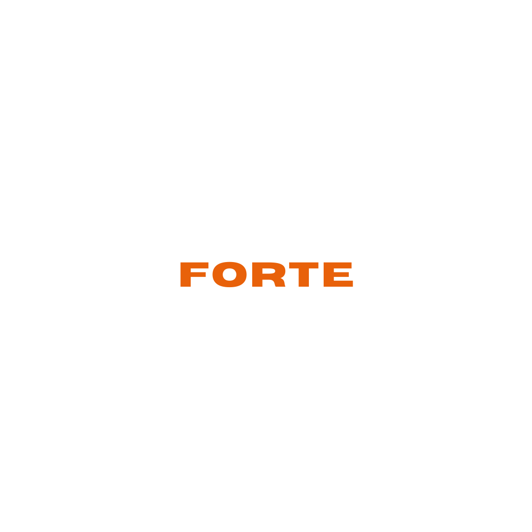 Logo Braço Forte Estacionamentos